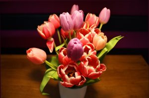 tulipany-na-stol